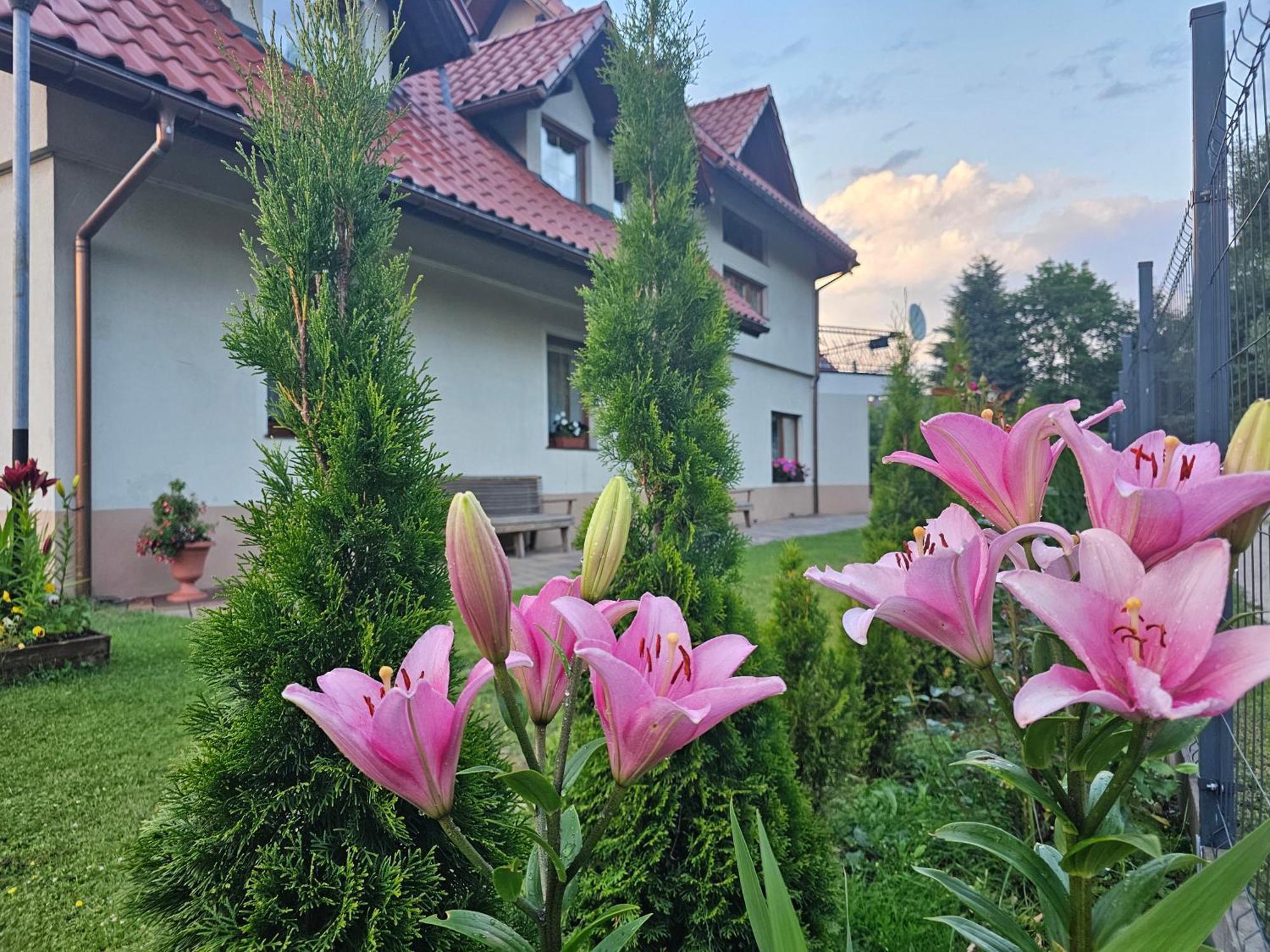 Dom Wypoczynkowy Beskidy Венгерска Гурка Екстериор снимка